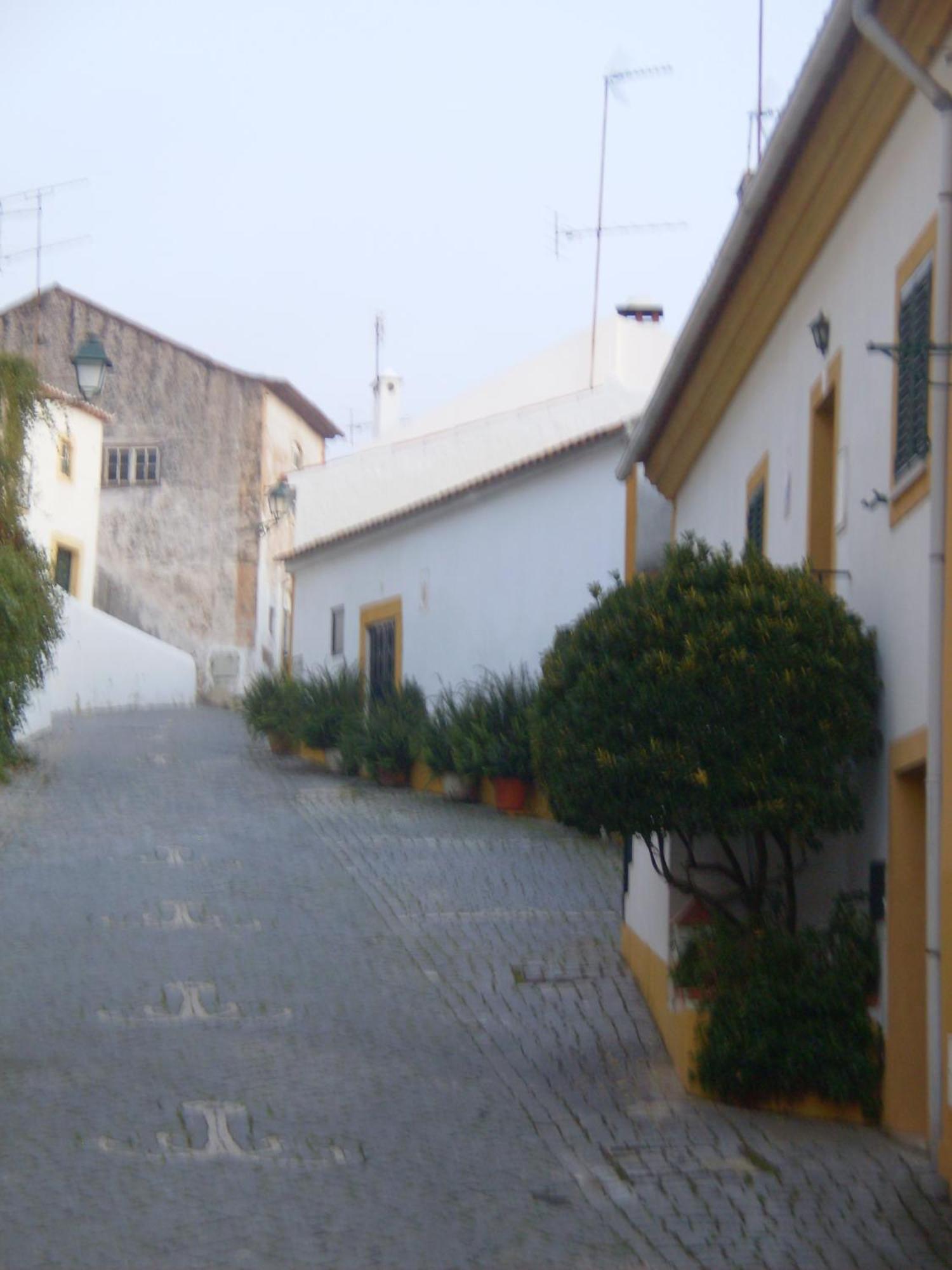 Casa Joao Chagas Guesthouse, Constancia, By Viva A Vida - Alojamentos E Hotels Kültér fotó